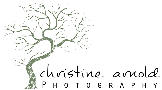 The Best Wedding Directory Christine Arnold Photography
